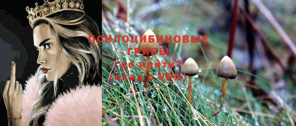 гидра Уссурийск