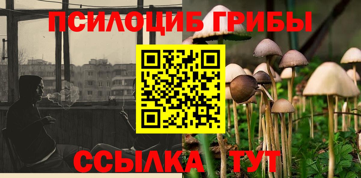 Галлюциногенные грибы Magic Shrooms Лесозаводск